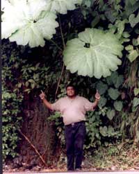 Jorge under leaves